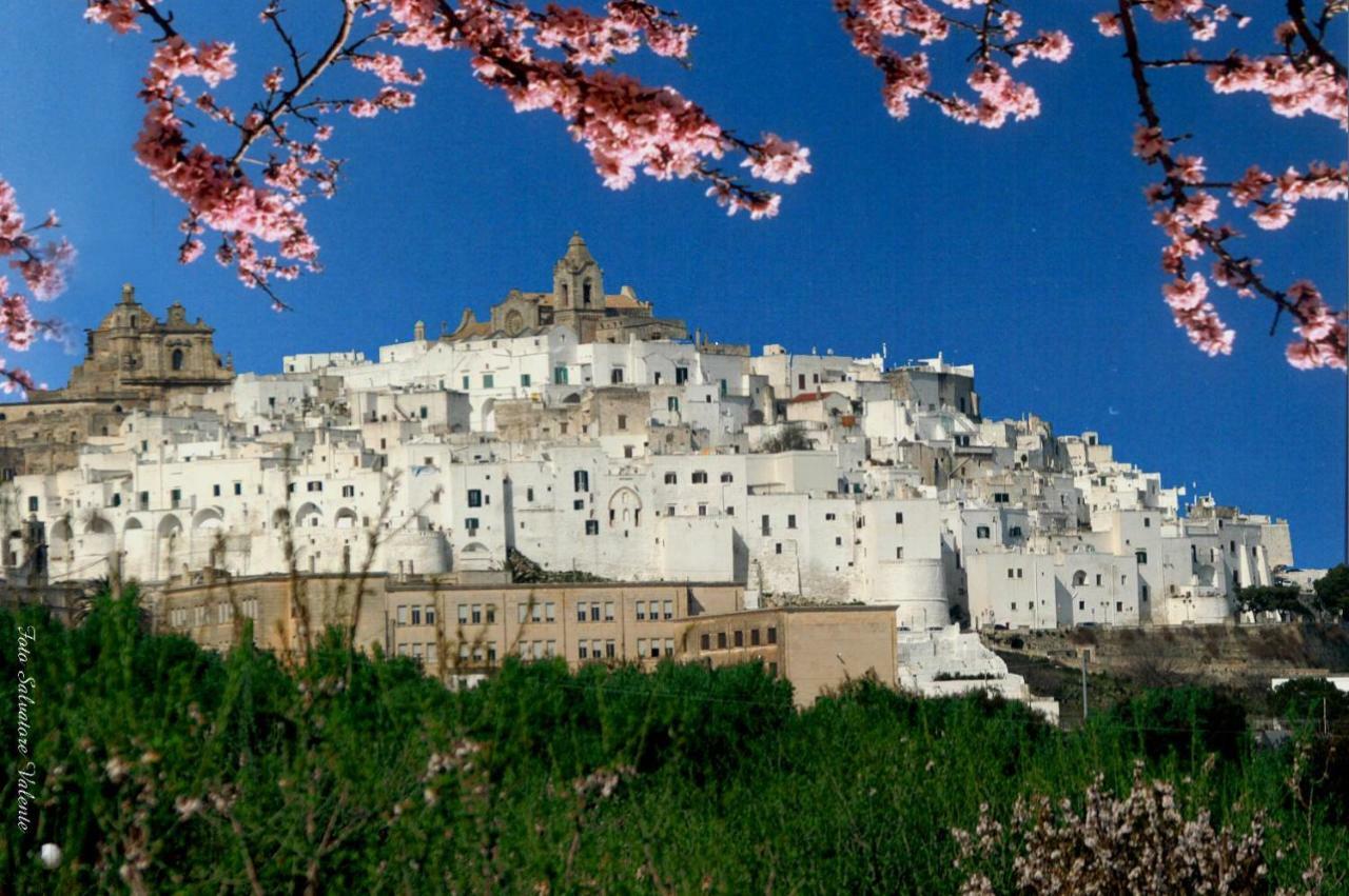 Villa Trullo Ramachandra Carovigno Bagian luar foto